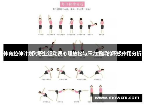 体育拉伸计划对职业运动员心理放松与压力缓解的积极作用分析