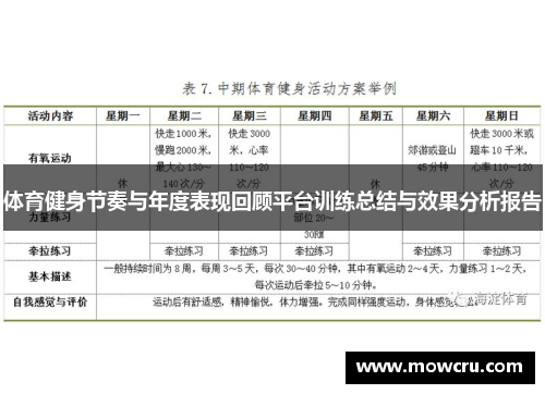 体育健身节奏与年度表现回顾平台训练总结与效果分析报告
