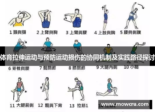 体育拉伸运动与预防运动损伤的协同机制及实践路径探讨