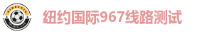 纽约国际967线路测试
